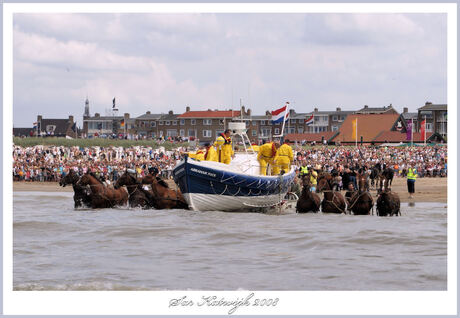 paardenboot ameland