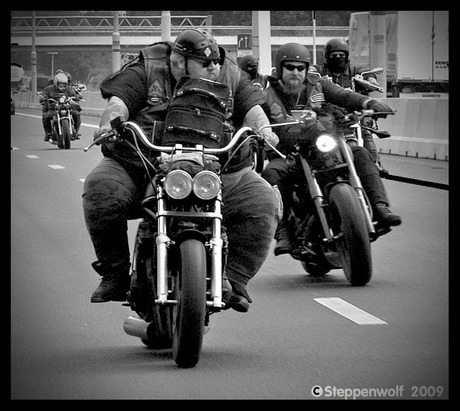 Born to be wild II