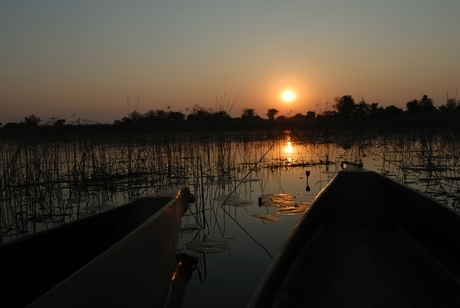 zonsondergang in de Okavango Delta
