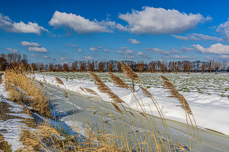 Winterlandschap