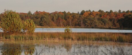 Sonse vennen in de herfst