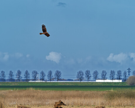 Scanning the Landscape