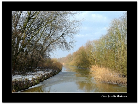 Biesbosch