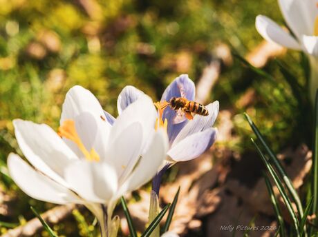 Maandag en weer aan het werk