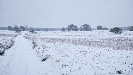 Ruigheid Landgoed Welna