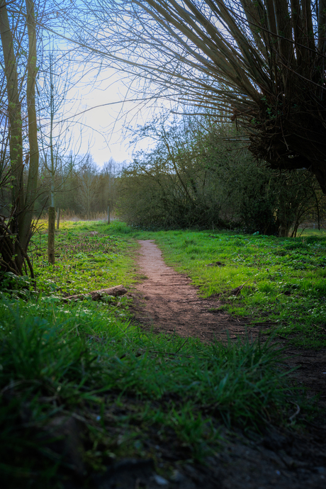 Wandelpad bij oosterbeek