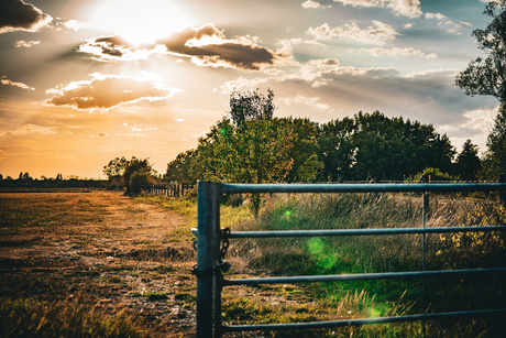 zonsondergang in de Uiterwaarden
