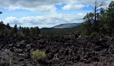 gestold lava