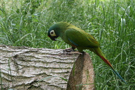 Bobje lekker buiten