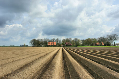 Akker in de Noordoostpolder