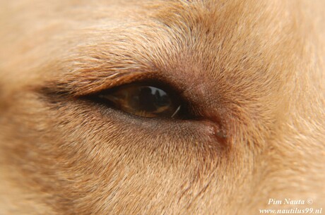 Keeping An Eye On You!