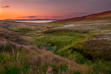 shetland sunset