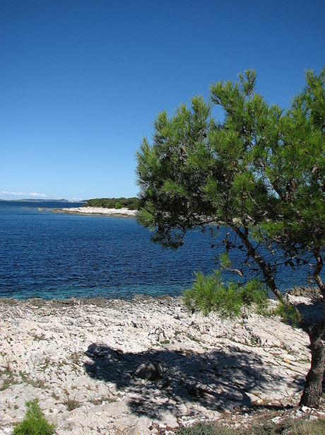 Dugi Otok