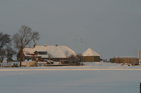 De boerderij