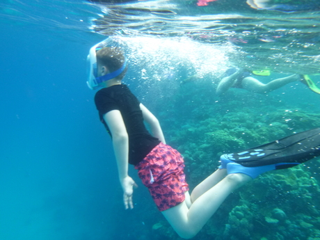 Snorkelen in de Rode Zee