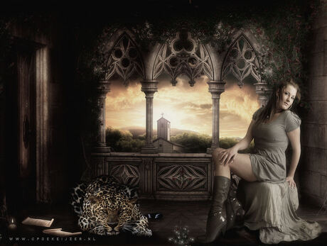 Watch out for my cat