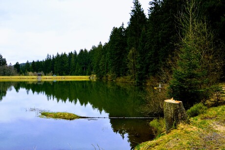 Meertje bij Waldcamping Polstertal