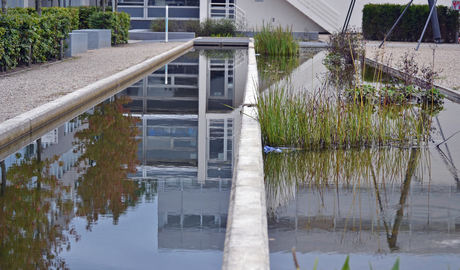 Reflectie in een vijvertje