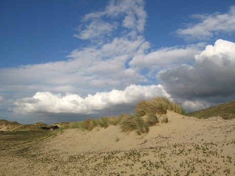 Coepelduinen