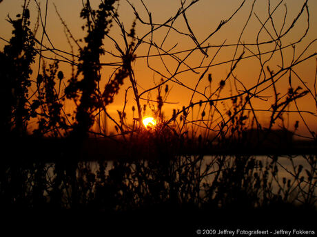 Zonsondergang Maasvlakte 2