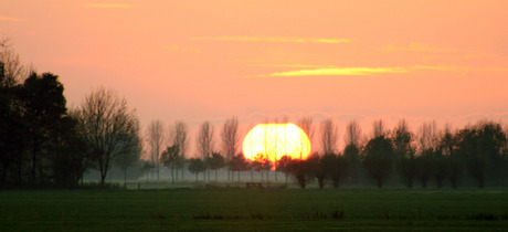 De zon was groot vandaag