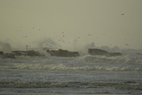 hoe zo storm?