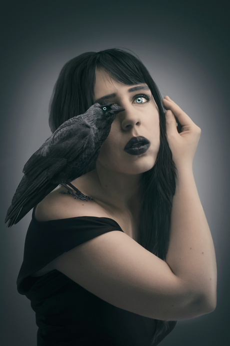 Blue eyed raven