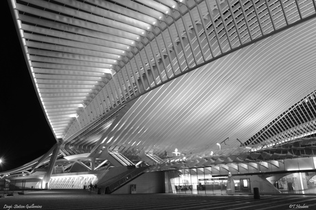 Station Luik ( België)