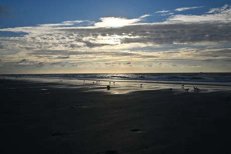Rust aan de Kustlijn