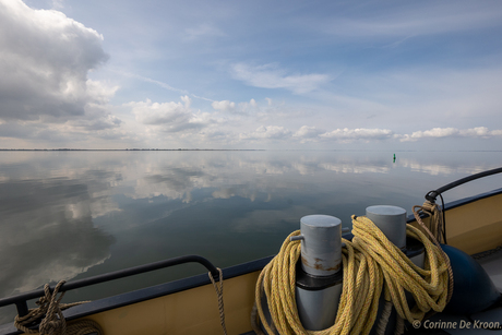 Spiegelglad op 't Wad