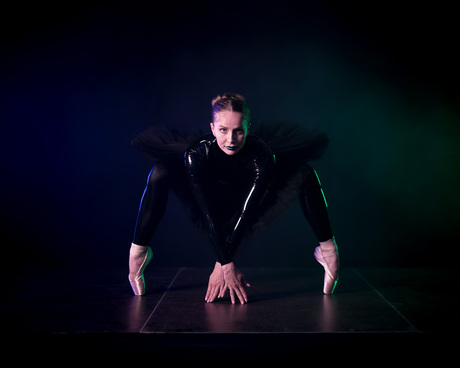 Zoom Playground ballet