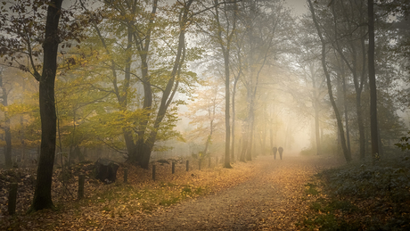 Herfstwandeling