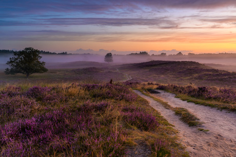 Gasterse Duinen 2