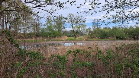 Bij de urkhovense zeggen 