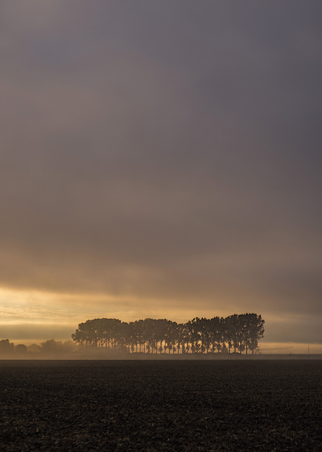 Foggy morning sunrise