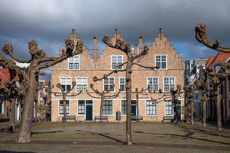 Het oude in het licht