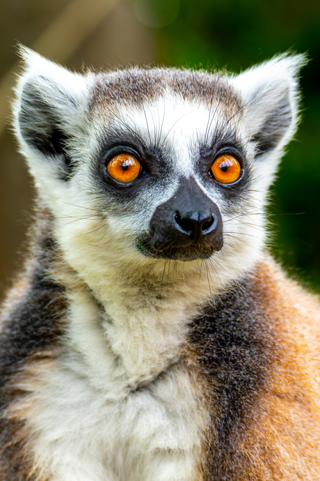 Well hello there 🤗