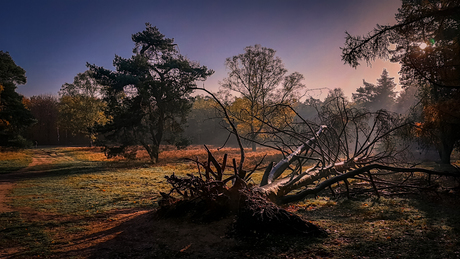 Herfst