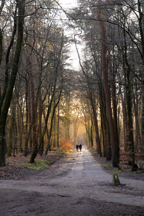 De laatste zonnestralen van de dag
