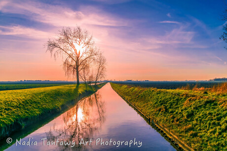 A sunny day in Januari