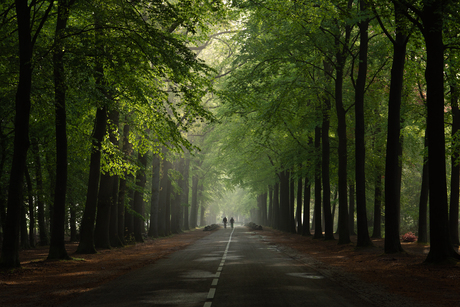 Vroege fietsers