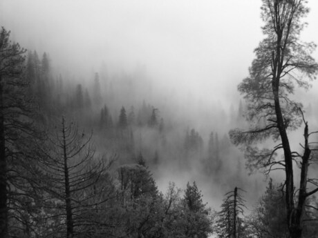 lower yosemite fall begin mei 2009