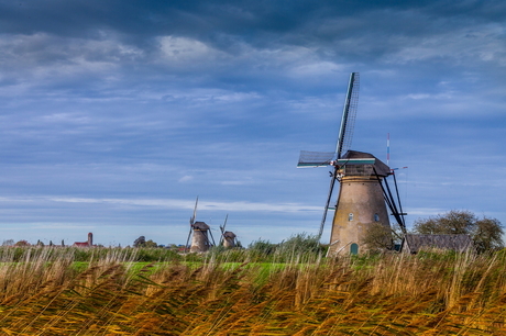 Kinderdijk 01