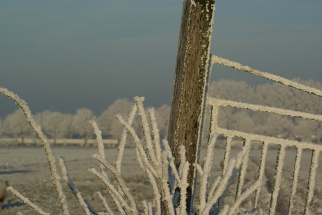 Winter in Rotterdam