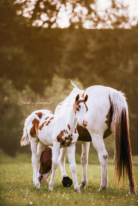 Luna en Mama