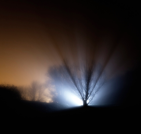 Nightlight in the Mist