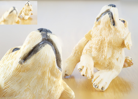 macro opnamen stenen honden