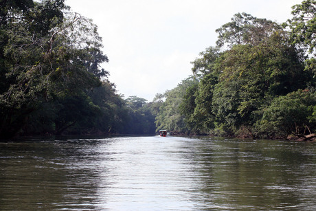 Sarapiqui rivier