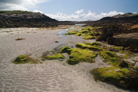 Het groen van Ierland 2