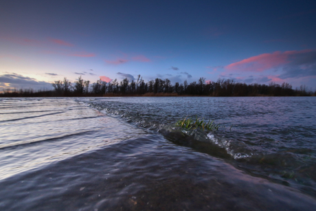 Hoogwater